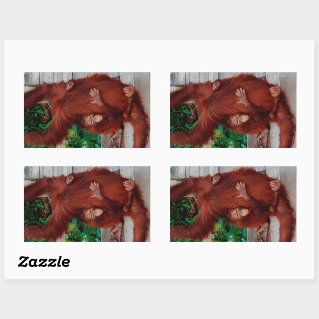 Borneo orangutan rectangular sticker (Sheet)