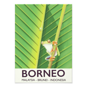 Borneo Poison frog travel poster
