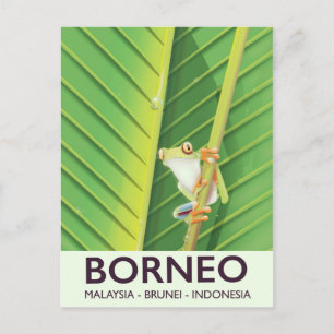 Borneo Poison frog travel poster Postcard