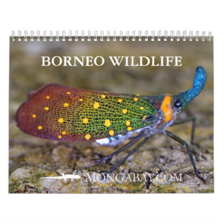 Borneo Rainforest Animals Calendar
