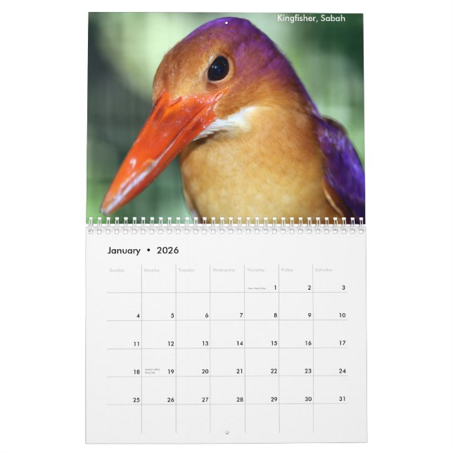 Borneo Rainforest Animals Calendar (Jan 2026)
