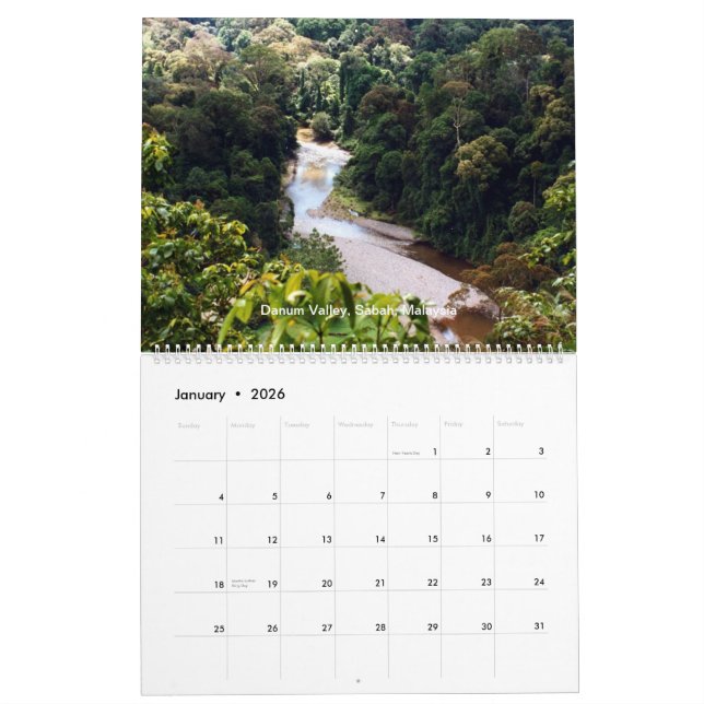 Borneo Rainforest Calendar (Jan 2026)