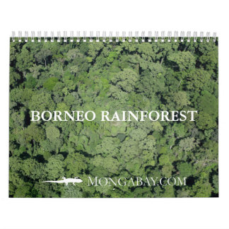 Borneo Rainforest Calendar