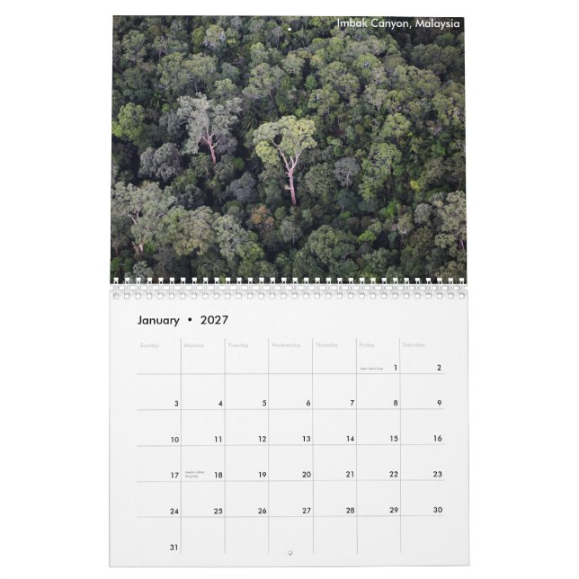 Borneo Rainforest Calendar (Jan 2027)