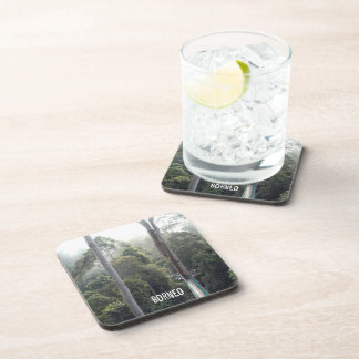 Borneo Rainforest Jungle Tree Canopy Scene Coaster
