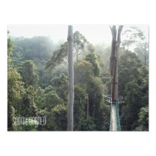 Borneo Rainforest Jungle Treetops Sabah Photo Print