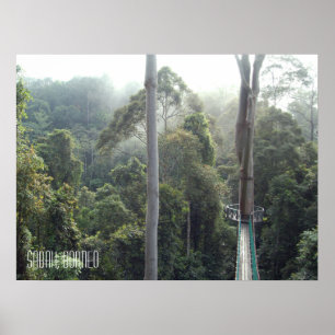 Borneo Rainforest Jungle Treetops Walkway Sabah Poster