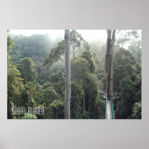 Borneo Rainforest Jungle Treetops Walkway Sabah Poster