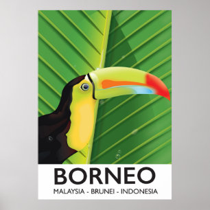 Borneo Toucan travel poster