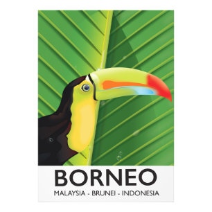 Borneo Toucan travel poster
