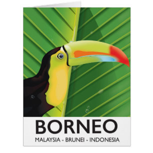 Borneo Toucan travel poster