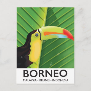 Borneo Toucan travel poster Postcard