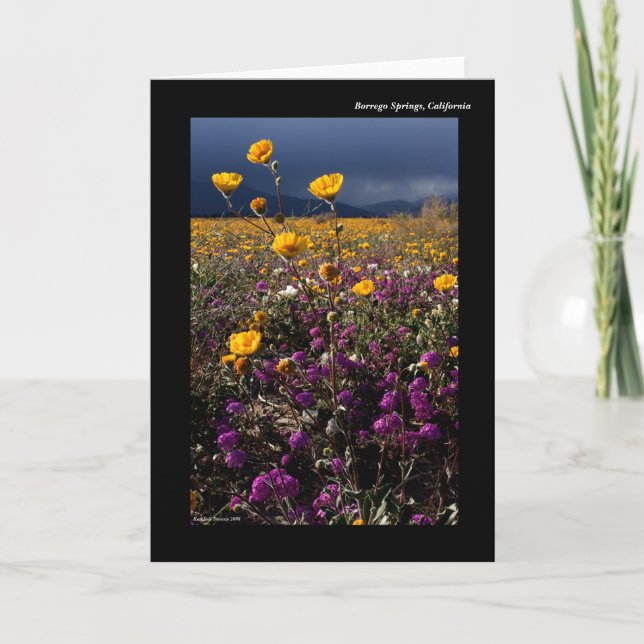 Borrego Springs, California Card (Front)