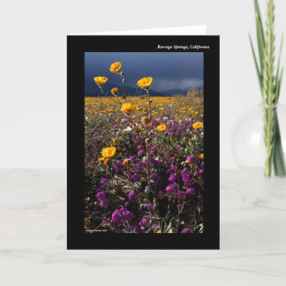 Borrego Springs, California Card