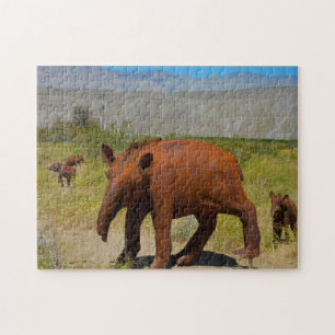 Borrego Springs California. Jigsaw Puzzle
