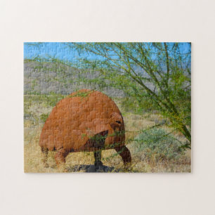 Borrego Springs California. Jigsaw Puzzle