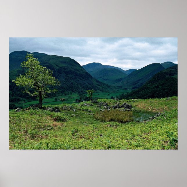 Borrowdale from High Doat, Cumbria at the Cornish Poster (Front)