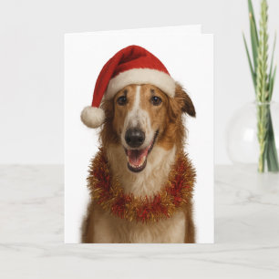 Borzoi (brown and white)  Santa hat Christmas card