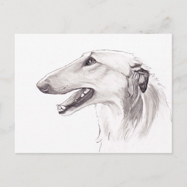Borzoi Dog Art Ink Head Profile Postcard (Front)
