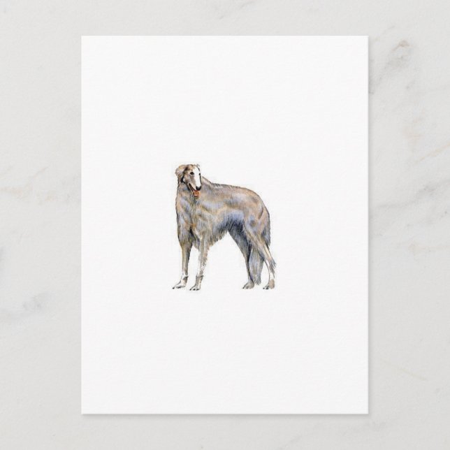 Borzoi Postcard (Front)