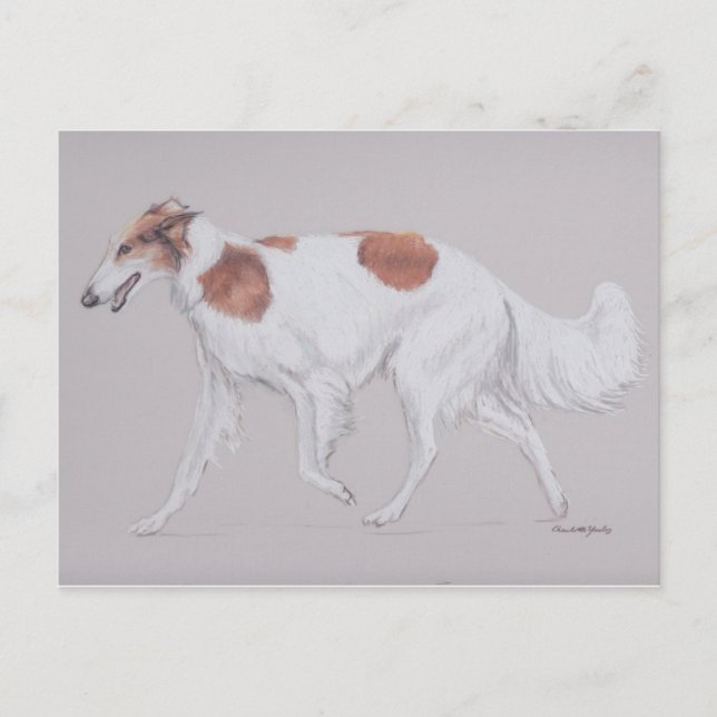 Borzoi Russia Wolfhound Canine Dog Art Postcard (Front)