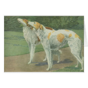 Borzoi (Russian Wolfhound)
