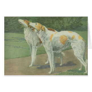 Borzoi (Russian Wolfhound)