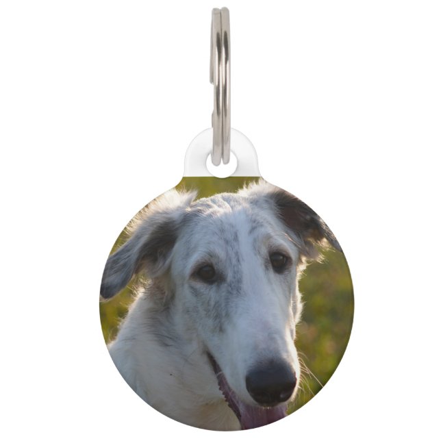 Borzoi Russian Wolfhound Dog. Pet Tag (Front)