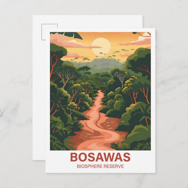Bosawas Biosphere Reserve Nicaragua Travel Postcard (Front/Back)