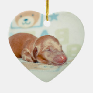 Boscoe Newborn-Lovebugdoxies puppy keepsake Ceramic Tree Decoration