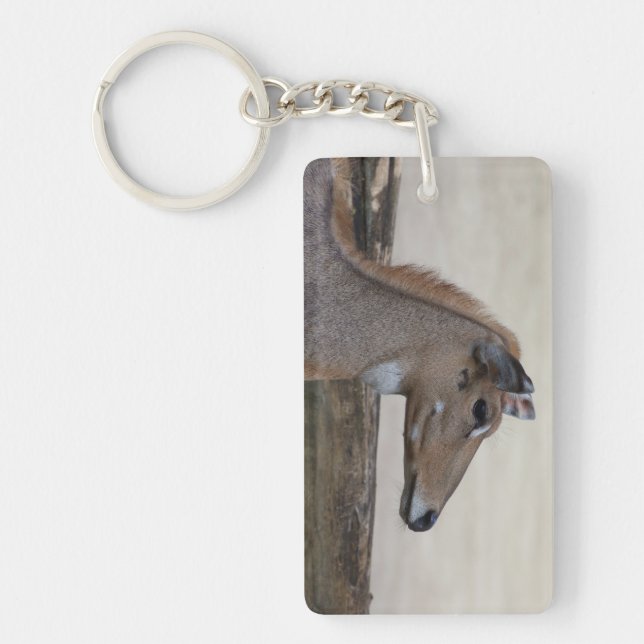 Boselaphus tragocamelus key ring (Front)