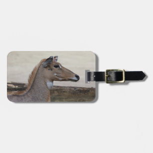 Boselaphus tragocamelus luggage tag