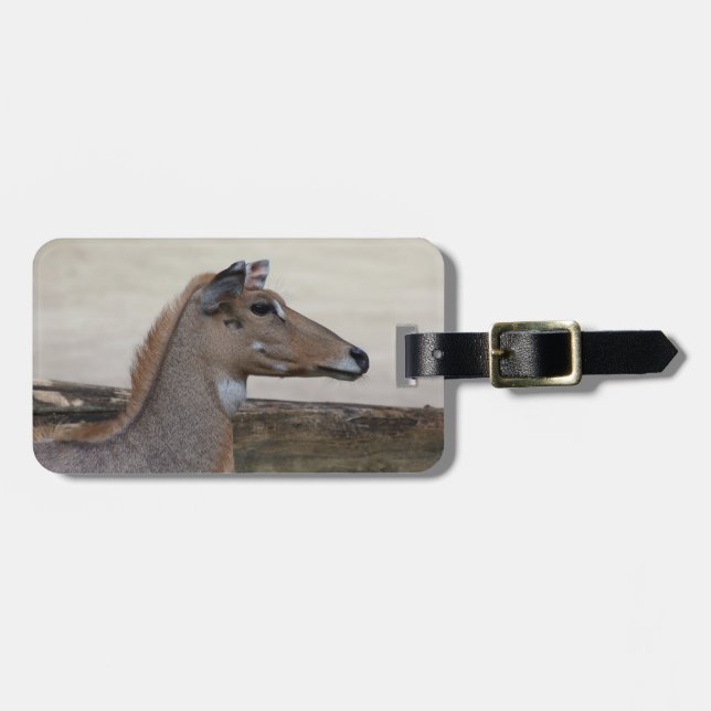 Boselaphus tragocamelus luggage tag (Front Horizontal)
