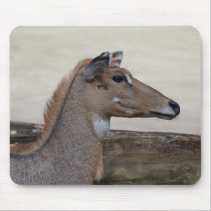 Boselaphus tragocamelus mouse pad