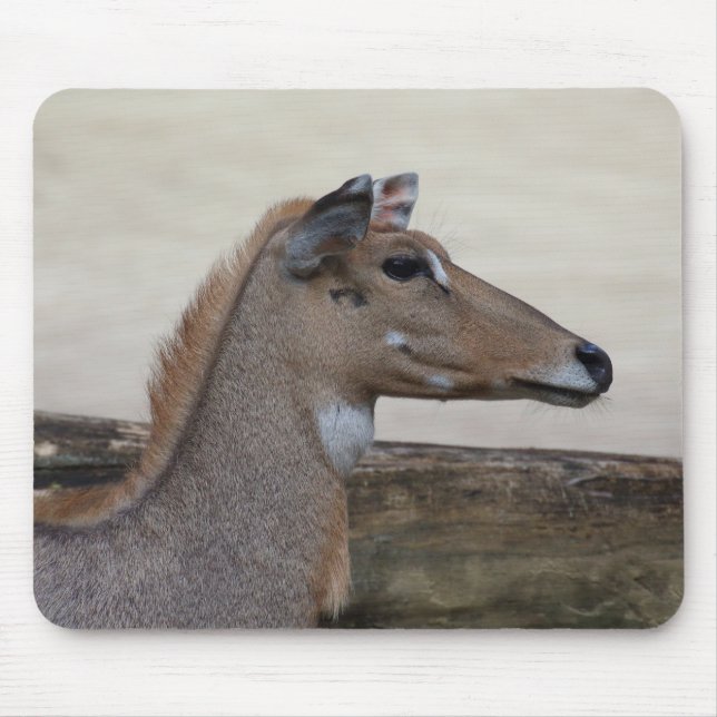 Boselaphus tragocamelus mouse pad (Front)