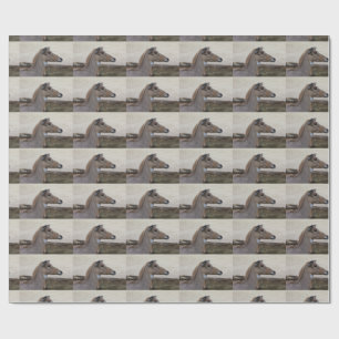 Boselaphus tragocamelus wrapping paper