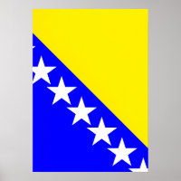 Bosnia and Herzegovina flag