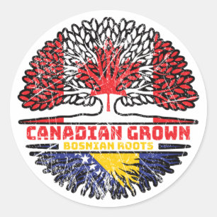 Bosnia Bosnian Canadian Canada Tree Roots Flag Classic Round Sticker