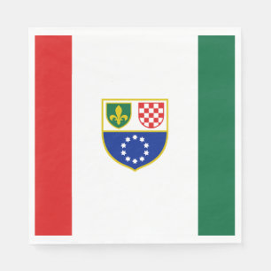 Bosnia Herzegovina Federation Flag Napkin