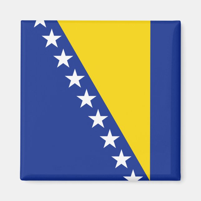 Bosnia Herzegovina Flag Magnet (Front)