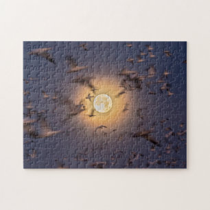 Bosque del Apache National Wildlife Refuge Jigsaw Puzzle