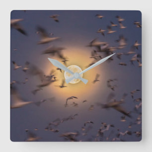 Bosque del Apache National Wildlife Refuge Square Wall Clock