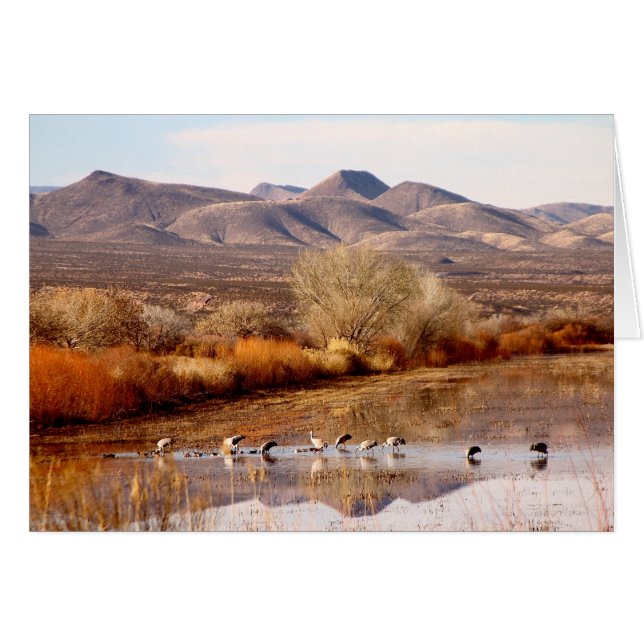 Bosque del Apache, New Mexico (Front Horizontal)