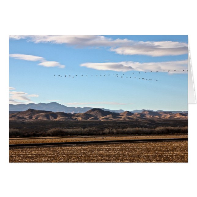 Bosque del Apache, New Mexico (Front Horizontal)
