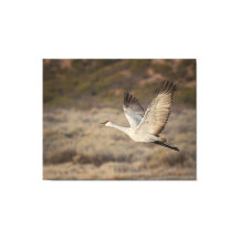 Bosque del Apache NWR