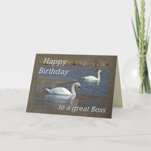 Boss Birthday - Mute Swans on Winter Pond Card