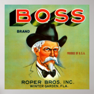 Boss Brand Poster