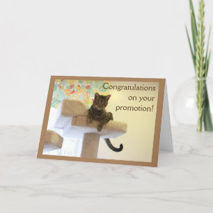 Boss Cat Card