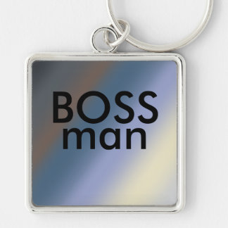 BOSS man key-ring Silver/steal blue blends Key Ring
