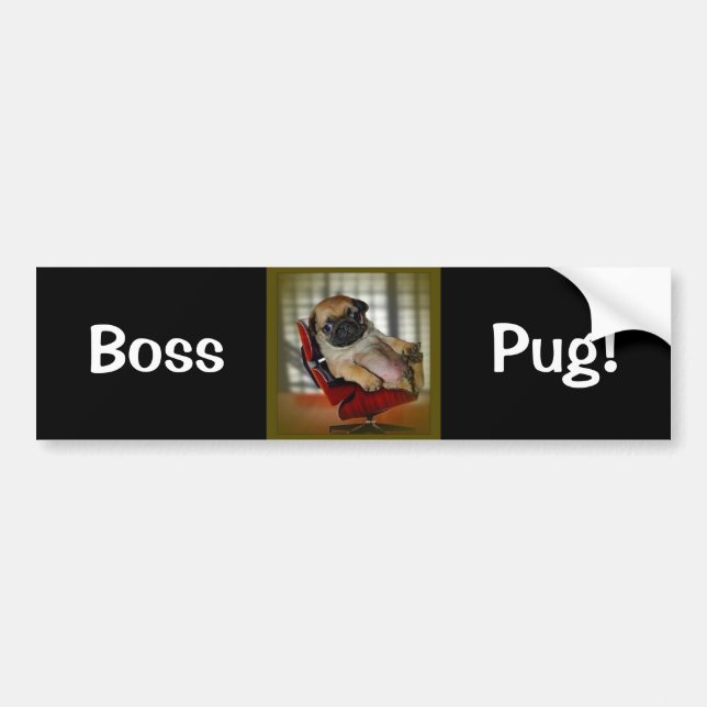 Boss Pug! Bumper Sticker (Front)